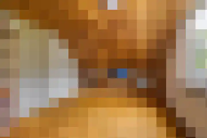Marisstraat 25 Grashoek thumbnail 32