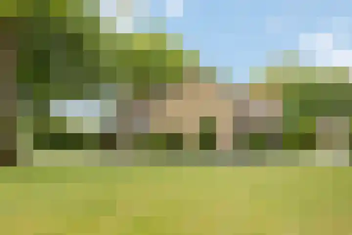 Marisstraat 25 Grashoek thumbnail 63