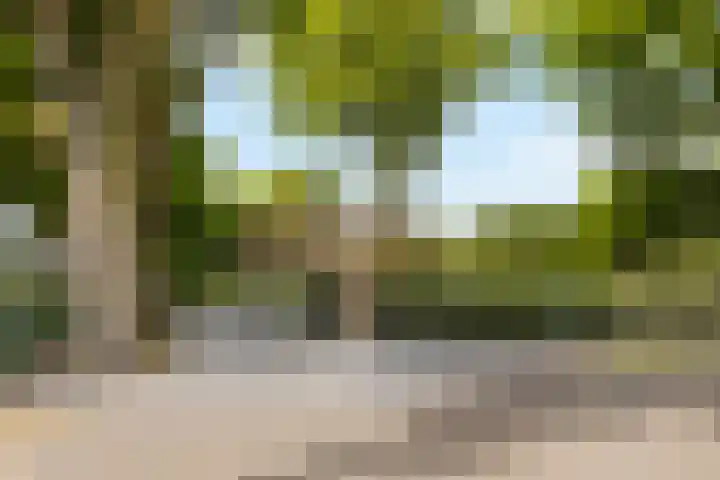 Marisstraat 25 Grashoek thumbnail 64