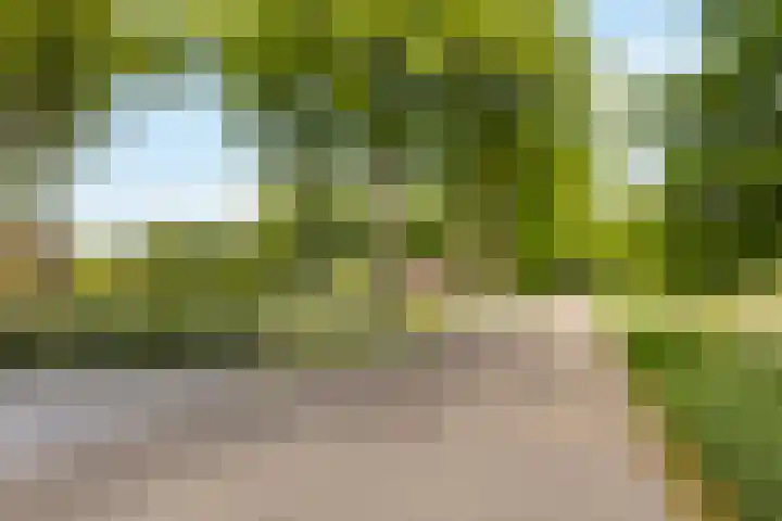 Marisstraat 25 Grashoek thumbnail 65
