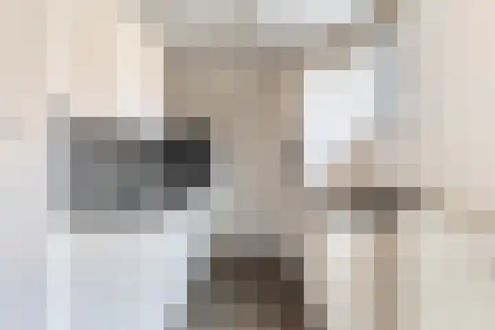 Marisstraat 3 Rhoon thumbnail 12