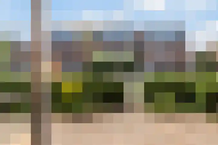 Marisstraat 3 Rhoon thumbnail 25