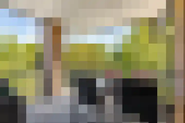 Marisstraat 3 Rhoon thumbnail 7