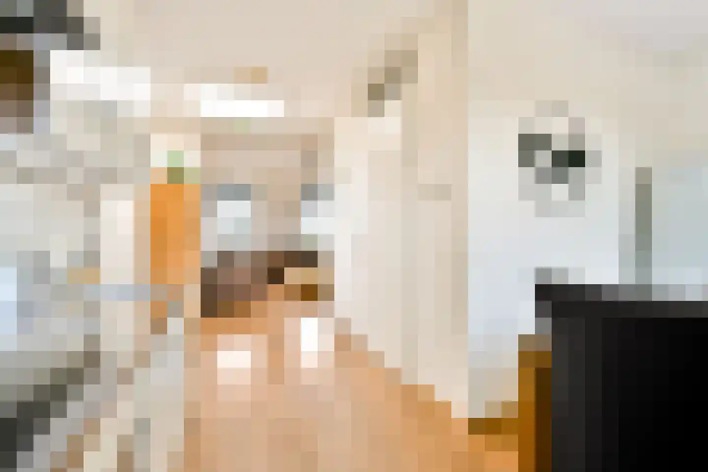 Marisstraat 35 Rhoon thumbnail 7
