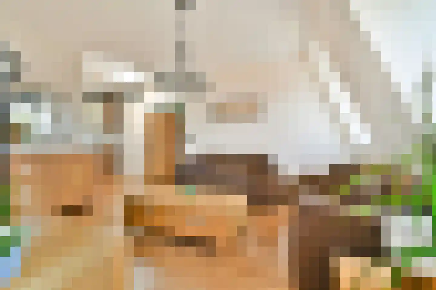 Marisstraat 35 Rhoon thumbnail 9
