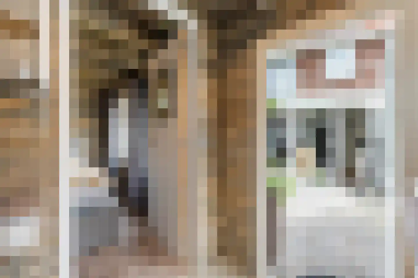 Marisstraat 4 Zandvoort thumbnail 16