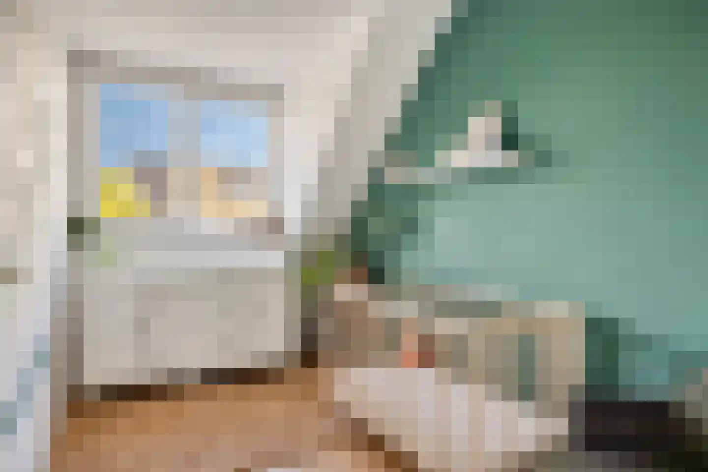 Marisstraat 45 Duiven thumbnail 20