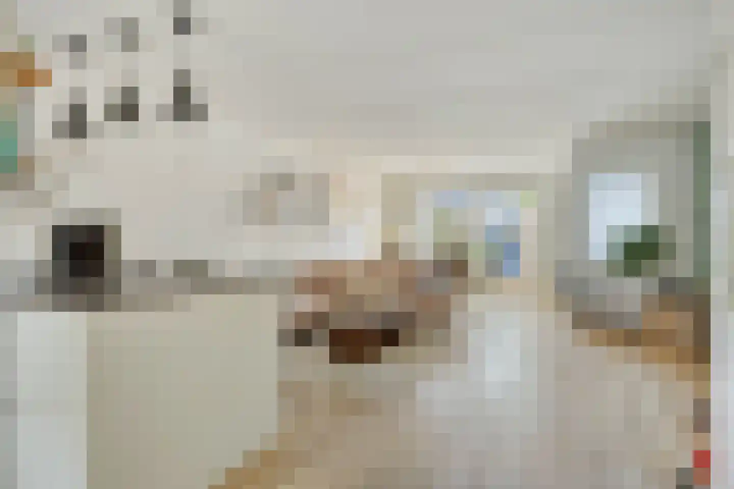 Marisstraat 45 Duiven thumbnail 7
