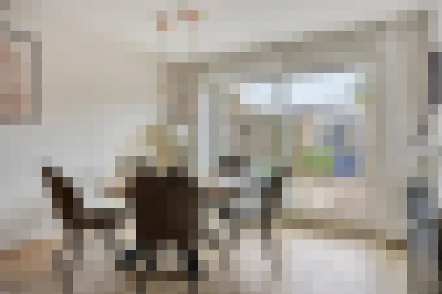Marisstraat 45 Duiven thumbnail 8