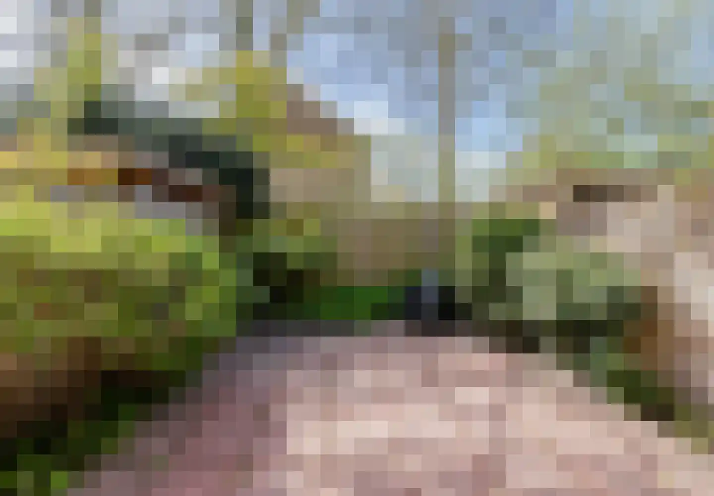 Maritsa 3 Amstelveen thumbnail 30