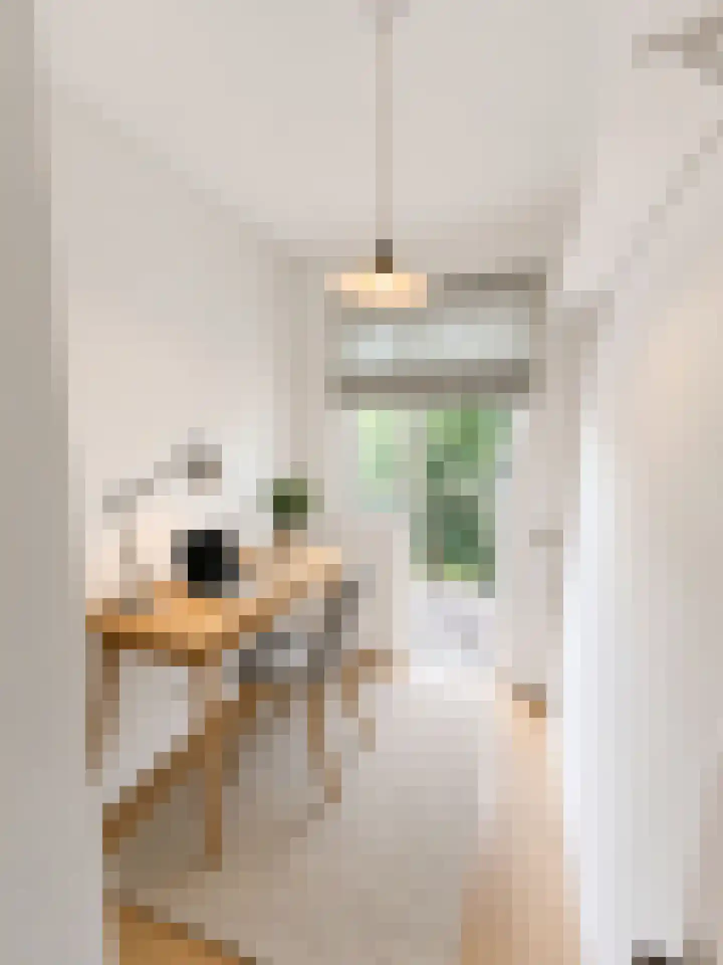 Maritzstraat 10 2 Amsterdam thumbnail 20