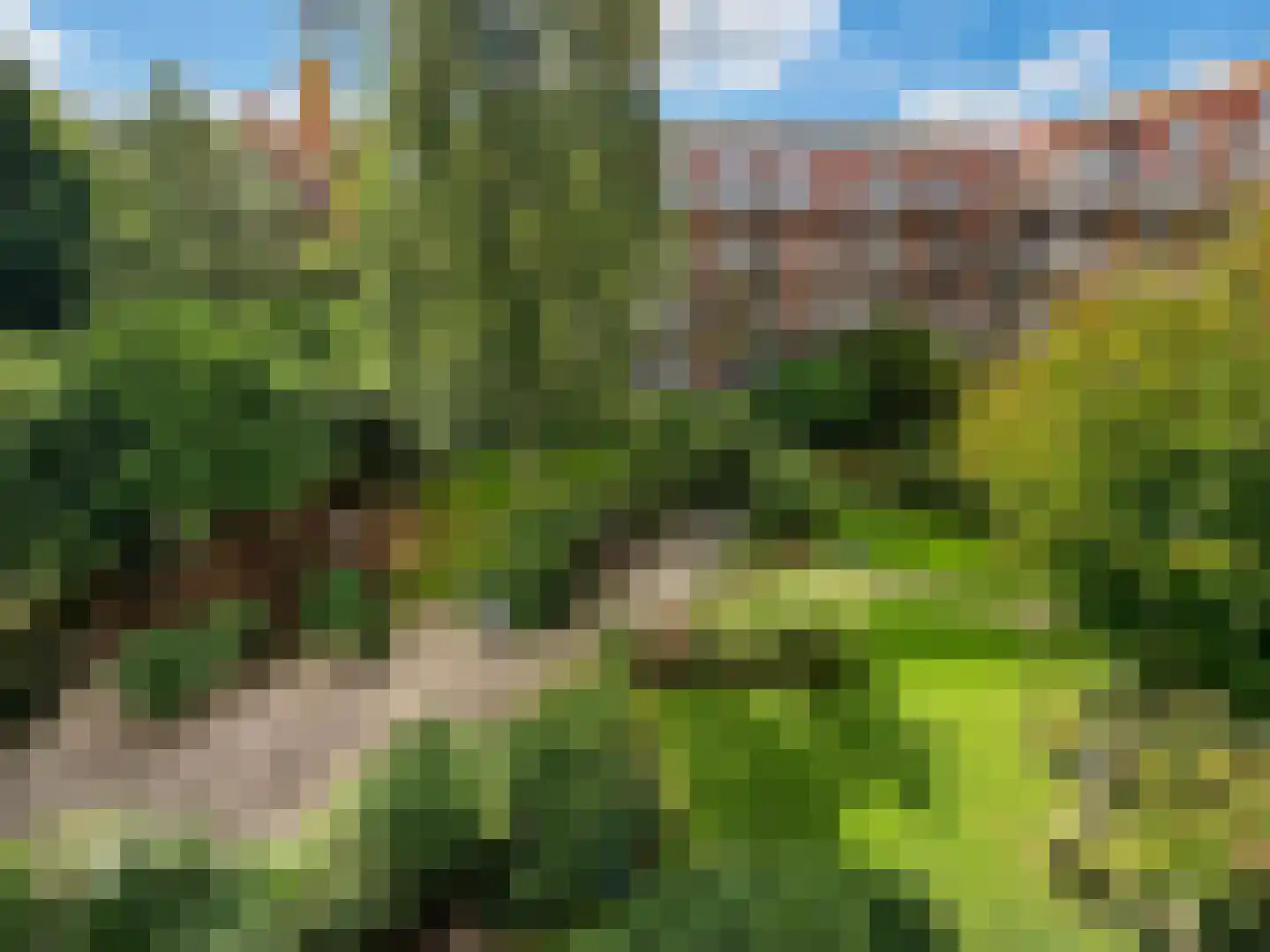 Maritzstraat 10 2 Amsterdam thumbnail 5