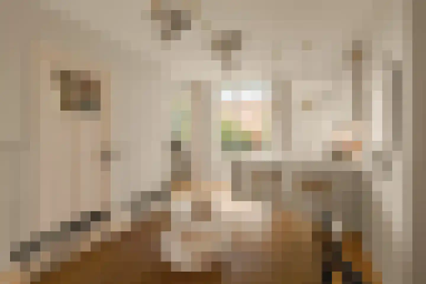 Maritzstraat 24 2 Amsterdam thumbnail 22