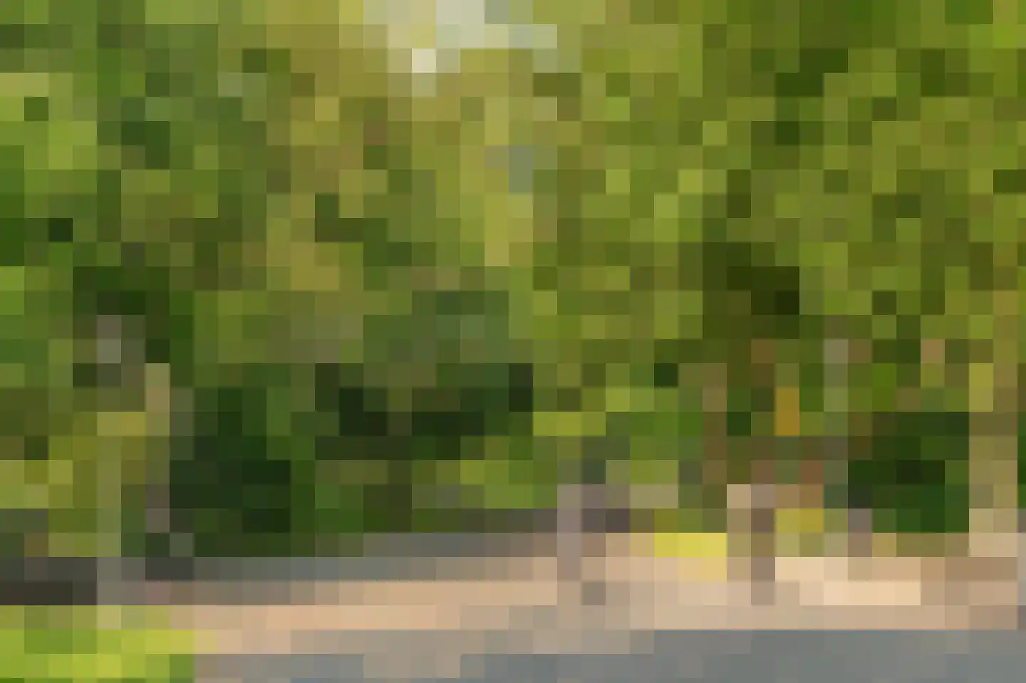 Maritzstraat 24 2 Amsterdam thumbnail 35
