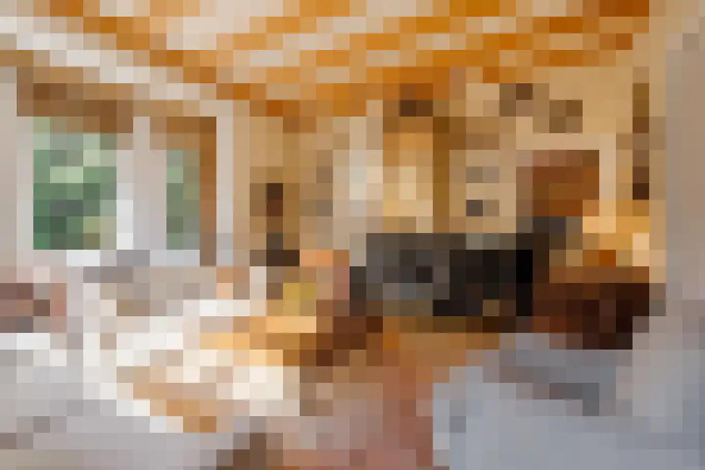 Marius Bauerlaan 11 Aerdenhout thumbnail 11