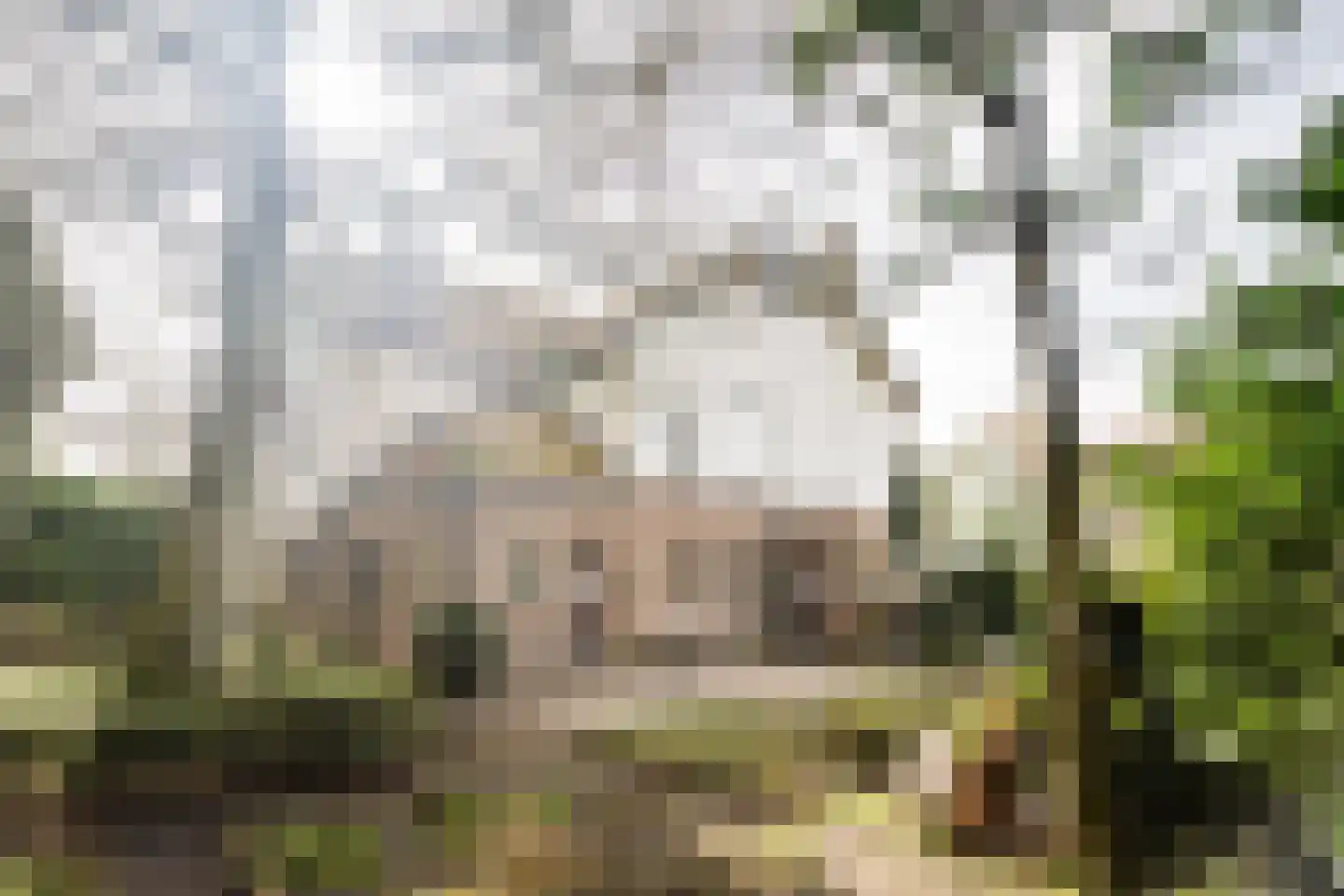 Marius Bauerlaan 11 Aerdenhout thumbnail 4