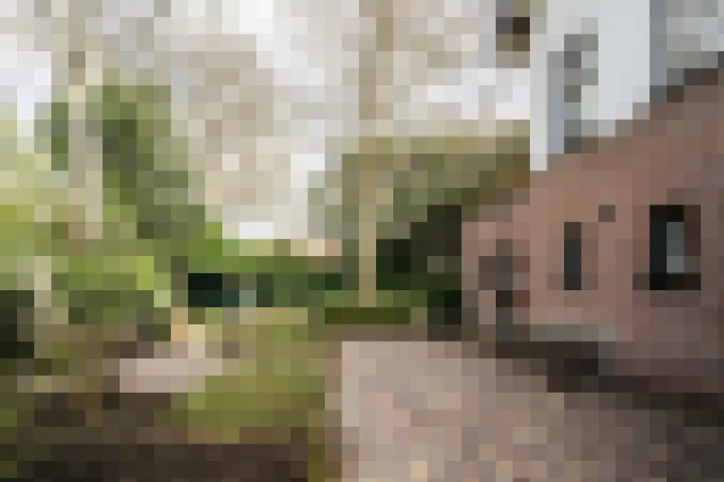 Marius Bauerlaan 11 Aerdenhout thumbnail 45