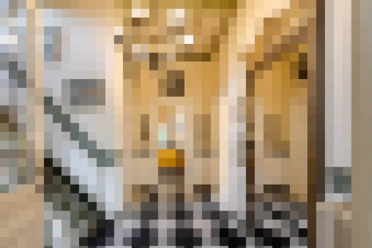 Marius Bauerlaan 11 Aerdenhout thumbnail 7