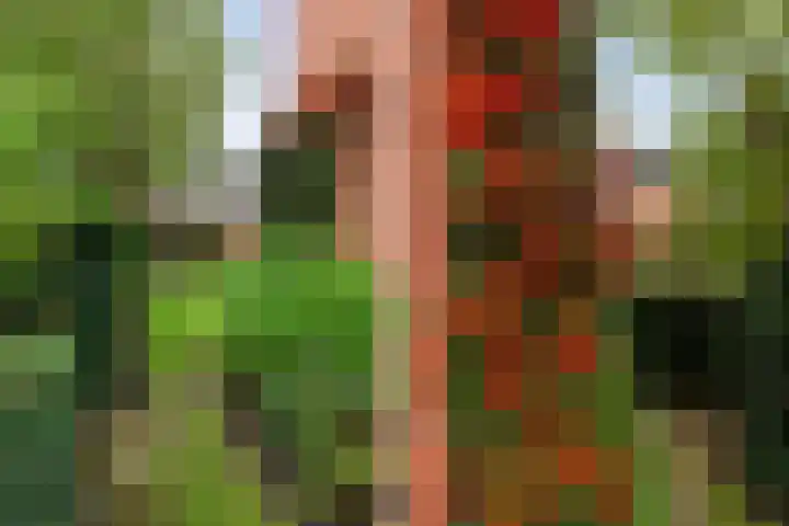 Marius Bauerstraat 1 Woerden thumbnail 18