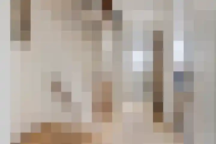 Marius Bauerstraat 1 Woerden thumbnail 21