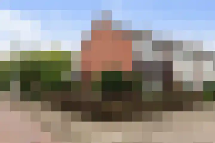 Marius Bauerstraat 1 Woerden thumbnail 32