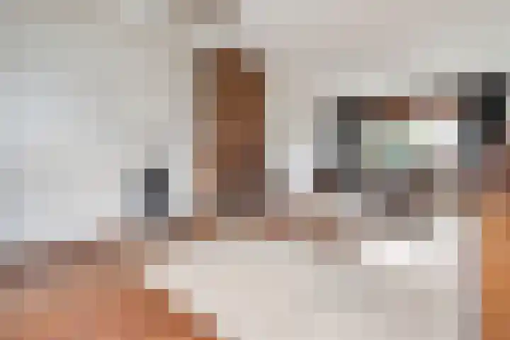 Marius Bauerstraat 1 Woerden thumbnail 5