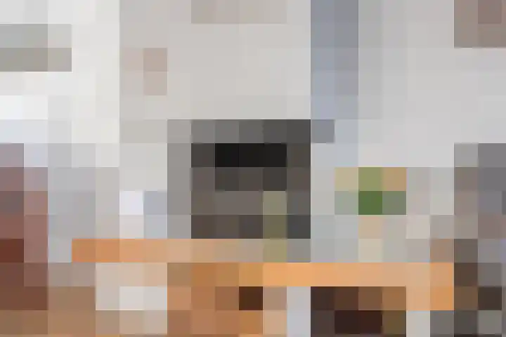 Marius Bauerstraat 20 Woerden thumbnail 10