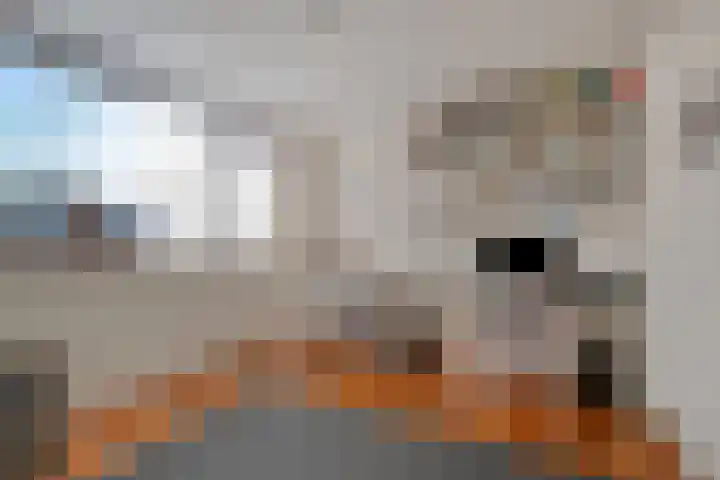 Marius Bauerstraat 20 Woerden thumbnail 16