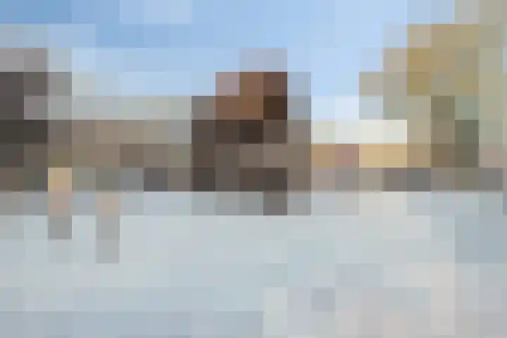 Marius Bauerstraat 20 Woerden thumbnail 31
