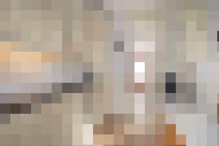 Marius Bauerstraat 20 Woerden thumbnail 5