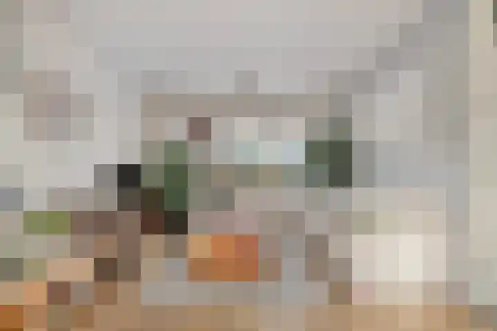 Marius Bauerstraat 20 Woerden thumbnail 7
