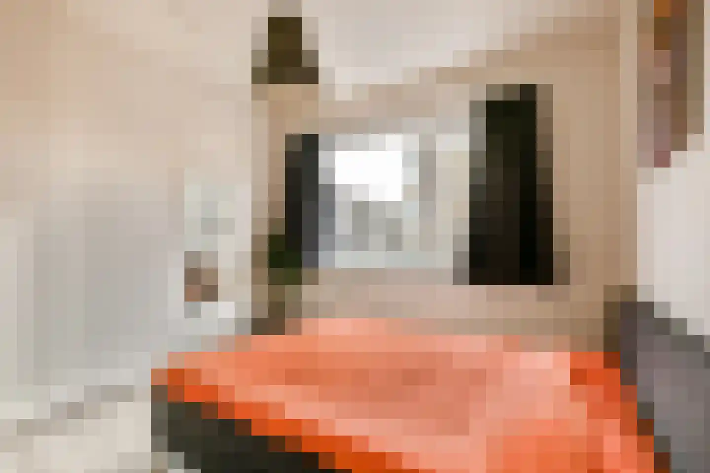 Marius Bauerstraat 235 B 9 Amsterdam thumbnail 10