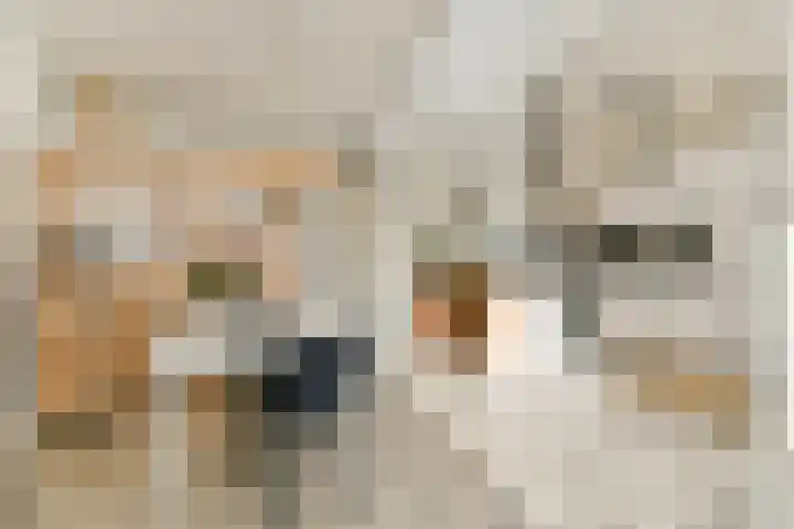 Marius Bauerstraat 235 E 4 Amsterdam thumbnail 10
