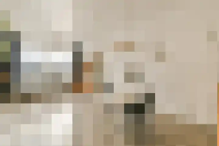 Marius Bauerstraat 235 E 4 Amsterdam thumbnail 7