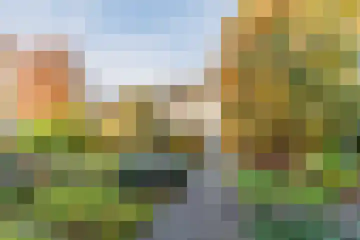 Marius Bauerstraat 3 Eindhoven thumbnail 11