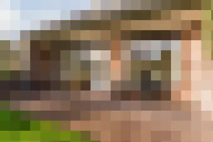 Marius Bauerstraat 3 Eindhoven thumbnail 54