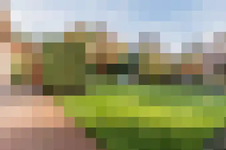Marius Bauerstraat 3 Eindhoven thumbnail 57