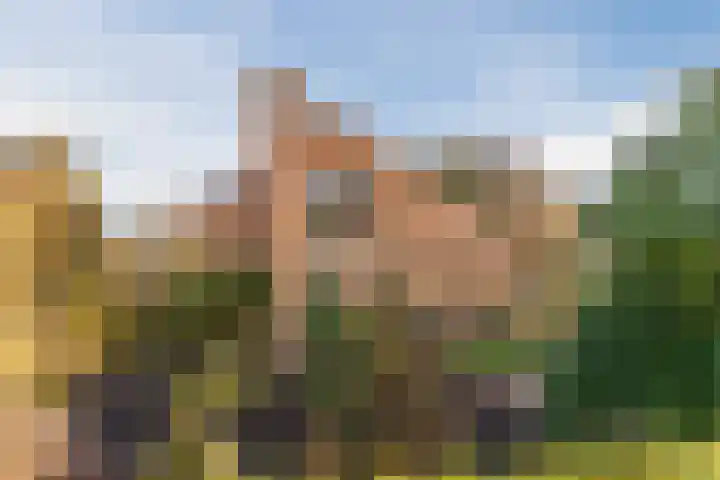 Marius Bauerstraat 3 Eindhoven thumbnail 74