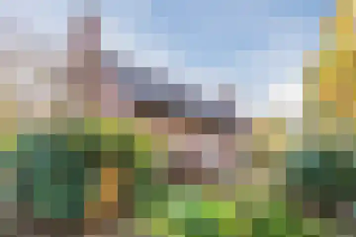 Marius Bauerstraat 3 Eindhoven thumbnail 9