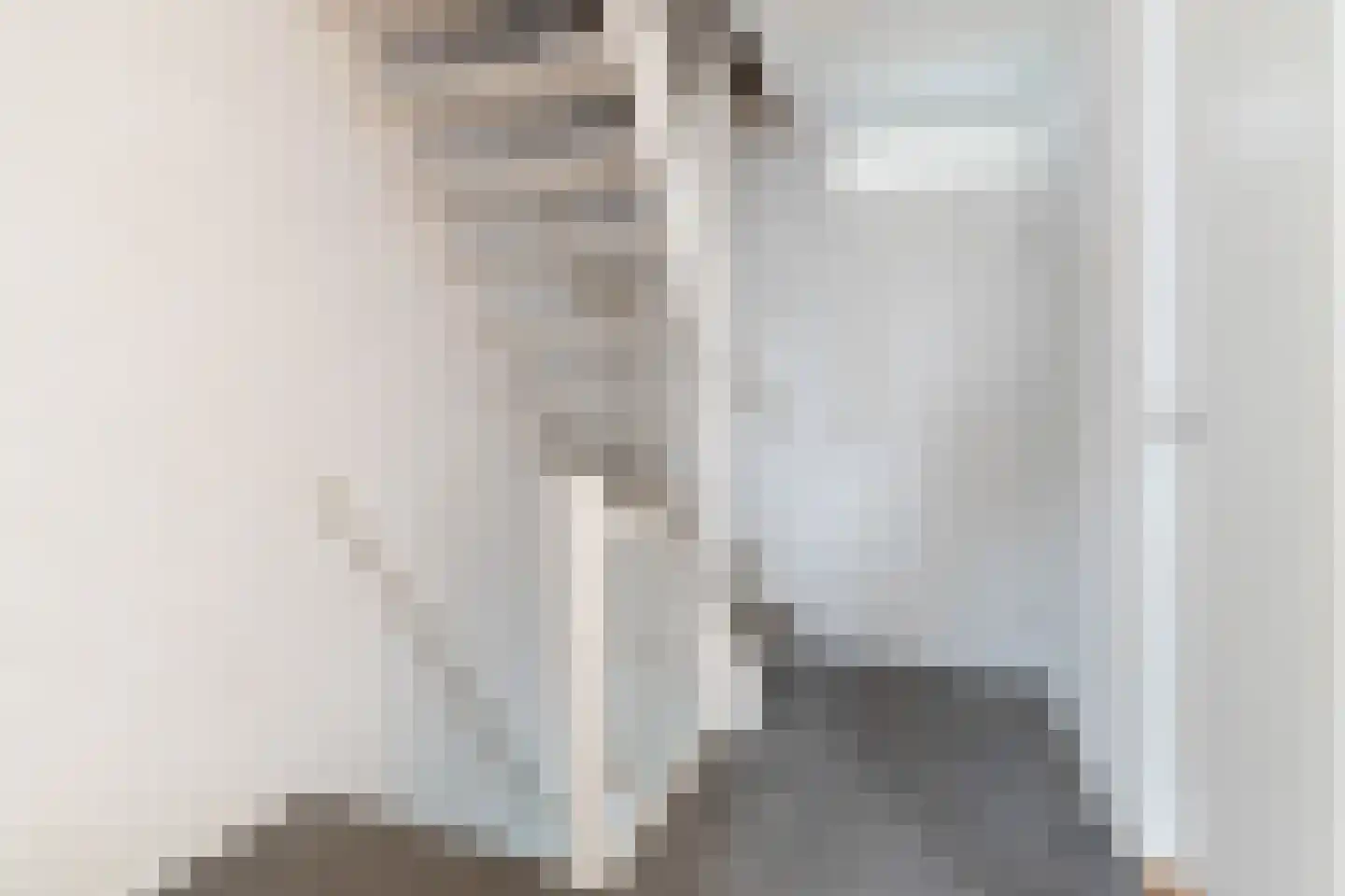 Marius Bauerstraat 3 Woerden thumbnail 17
