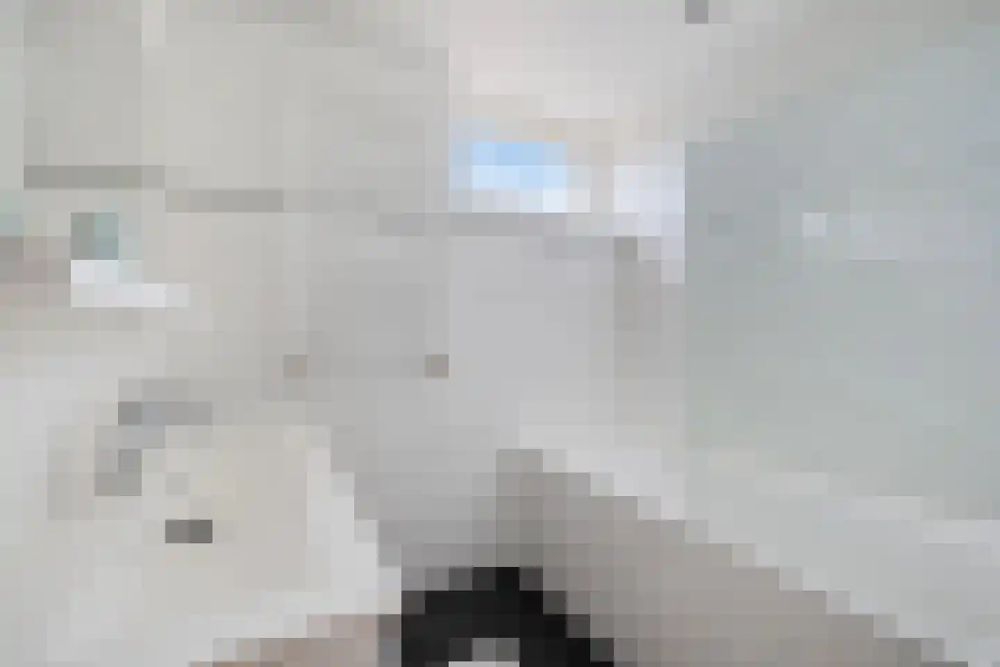 Marius Bauerstraat 6 Woerden thumbnail 20