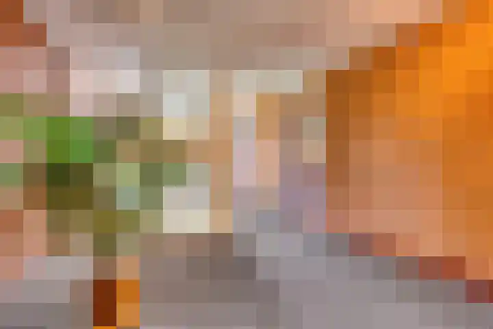 Marius de Langenstraat 112 Oss thumbnail 25
