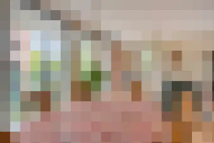 Marius de Langenstraat 112 Oss thumbnail 6