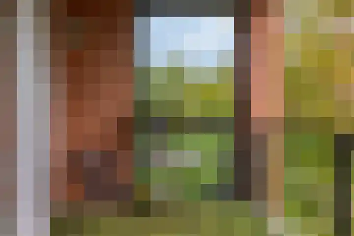 Marius de Langenstraat 112 Oss thumbnail 9