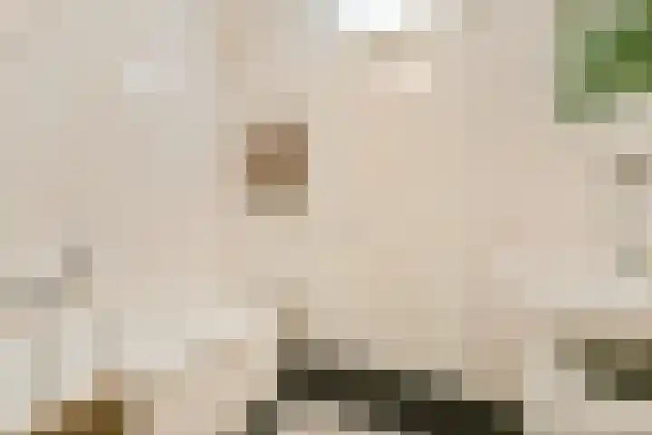 Marius Meijboomstraat 13 Amsterdam thumbnail 20