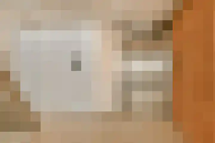 Marius Meijboomstraat 13 Amsterdam thumbnail 4