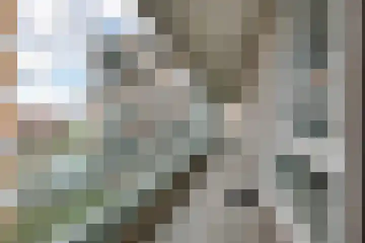 Marius Meijboomstraat 21 Amsterdam thumbnail 34