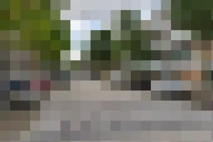 Marius Meijboomstraat 21 Amsterdam thumbnail 37