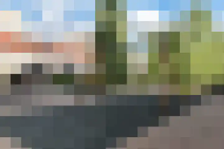 Marius Meijboomstraat 21 Amsterdam thumbnail 38