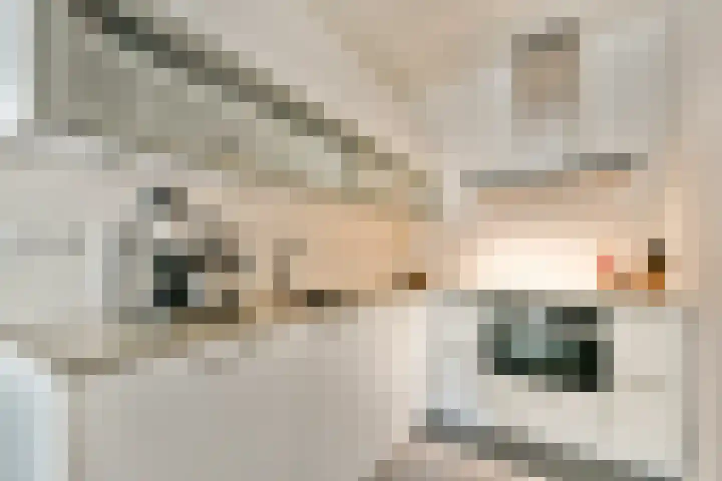 Marius Meijboomstraat 5 Amsterdam thumbnail 11